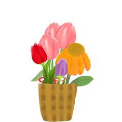 basket with tulips