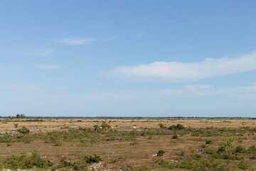 Öland landscape