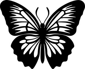 Obraz premium Butterfly | Black and White Vector illustration