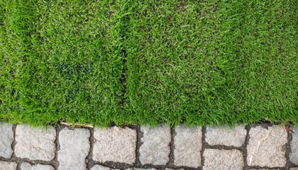 green grass with stone floor top view