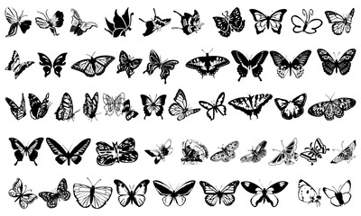 Black and white butterfly icon collection - obrazy, fototapety, plakaty