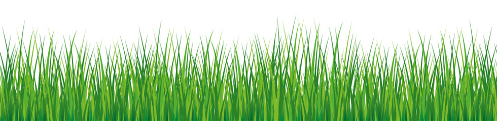 Border of green grass template. Natural meadow with line side view for realistic and cartoon design with colorful vegetation vector garden - obrazy, fototapety, plakaty