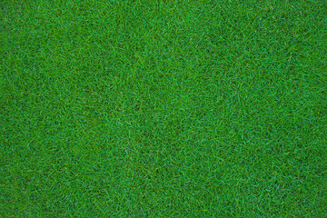Overhead of green grass in sports stadium for background or texture. close up of natural green lawn texture background