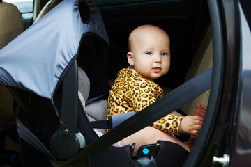 Baby sits is rear facing in car seat with tighten harness security. - obrazy, fototapety, plakaty
