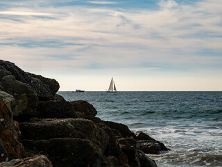 Beautiful and Peaceful Ocean Beach Landscape, Venice Beach, California 11
