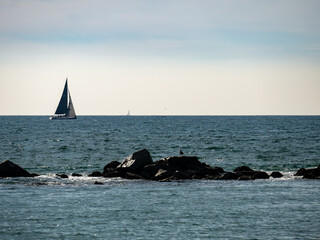 Beautiful and Peaceful Ocean Beach Landscape, Venice Beach, California 01