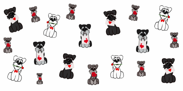 vector background of miniature schnauzer cartoons with love gift 