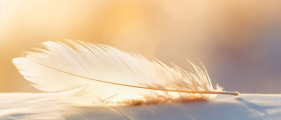 A closeup view of a delicate, light and airy feather, showcasing its intricate details.