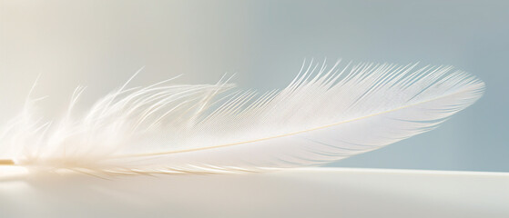 A closeup view of a delicate and ethereal feather, exuding a sense of lightness and airiness.
