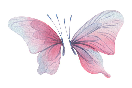 Butterflies are pink, blue, lilac, flying, delicate with wings and splashes of paint. Hand drawn watercolor illustration. Set of isolated elements on a white background, for design