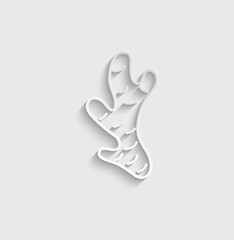 ginger icon vector ginger root