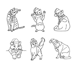 Vector contour drawing of Christmas cat in hat and scarf