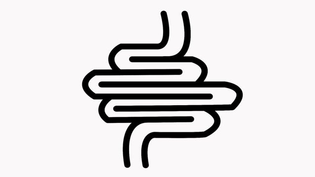 Bright Human Intestine motion with white background. Animation of the neon intestine with a black glow. Human anatomy concept