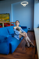 Obraz premium Long-haired businesswoman sits on sofa in company lounge. Brunette woman spends time with favourite shih tzu in coworking zone