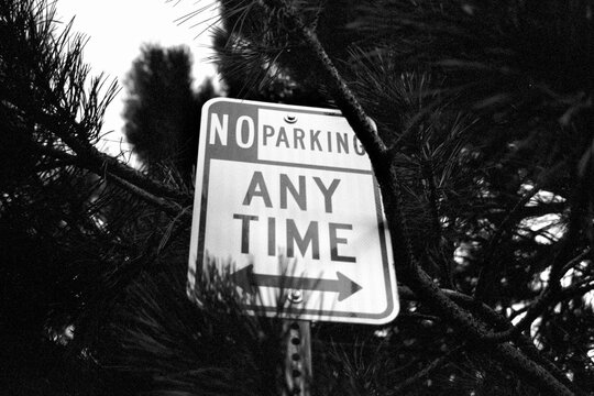 Black and white No Parking sign surrounded by tree branches