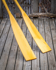 blades of wooden rowing oars against rustic, grunge wood deck