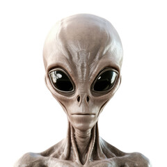 Alien face shot isolated on white or transparent background.