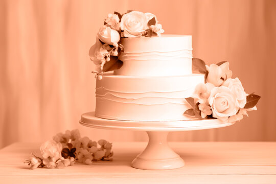 A beautiful peach-colored birthday cake on a background with a place to copy. A space to copy the peach color. 