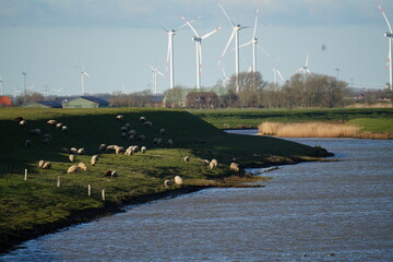 Marschland bei Nieb&uuml;ll