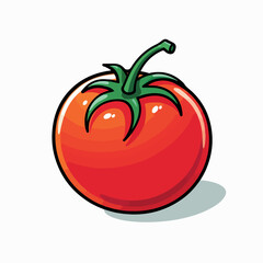 red tomato flat vector illustration. red tomato hand drawing isolated vector illustration