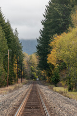 Train tracks on a fall day