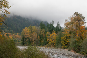 Autumn color on a misty day