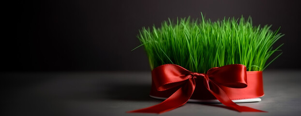 Banner with wishes for Happy Nowruz, green fresh wheat grass decorated with red ribbon with copy space for text, spring equinox celebration