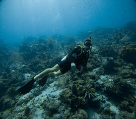 Underwater coral reef with turquoise crystal clear blue water near Saint Lucia.  Beautiful photos from the Caribbean island of St. Lucia.  The famous Superman's flight scuba dive.
