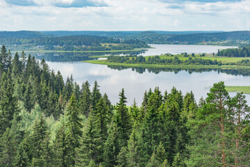 Lakes and forests at summer day.