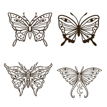 Butterfly Vector illustration. Vintage hand drawn tattoo. Magic Animal nature in Zen boho style. Black and white