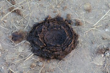 Cow manure can be made into organic fertilizer.