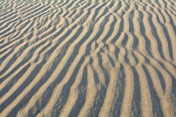 Wavy sand on a dune