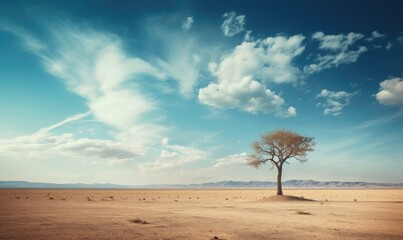 Lonely tree in the middle of the lifeless dry desert