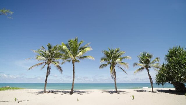 Paradise beach palm trees sunny sky seascape background. Tranquil scene summer nature holiday vacation island. 