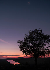 sunset and tree
