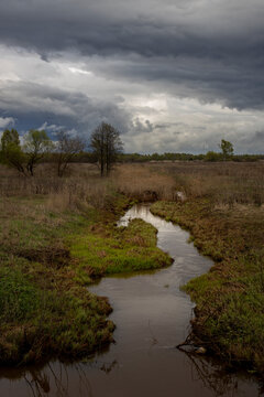 Magical vertical landscape. Early spring, young green grass breaks through the old dry grass. the stream reflects the dramatic sky