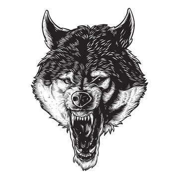 detailed angry wolf head illustration