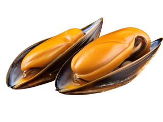 Savory Stuffed Mussel Delicacy, isolated on a transparent or white background