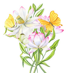 Bouquet of pink lotus flowers, green leaves. Yellow butterflies fluttering around blooming waterlilies. Watercolor illustration isolated on white. For poster, cards, greeting, invitation.