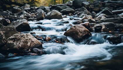 A Serene Stream Flowing Through a Natural Landscape