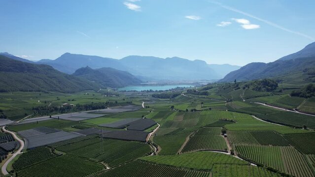 Flugaufnahme von Kaltern &uuml;ber das Weinanbaugebiet zum Kalterer See.