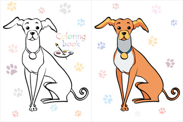 Vector Coloring Book page of dog Italian Greyhound breed sitting