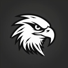 Obraz premium Eagle head illustration