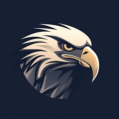 Fototapeta premium Eagle head illustration