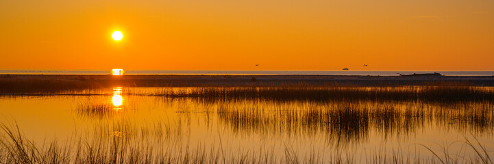 Fototapeta na wymiar Golden sunrise over Long Island Sound. Tranquil seascape over the marshland at low tide.