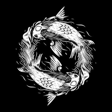 Two koi carps. Yin yang symbol. Vintage engraving monochrome illustration. Isolated on white