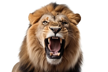 Portrait of a roaring lion - Isolated, no background - Powered by Adobe