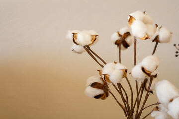 bouquet of cotton stems