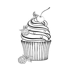 Cupcake with berries cream and mint leaves. Vector illustration. Grapgic style. hand drawn in a simple minimalist style. Can be used for kitchen, notes, cookbook, textile.
