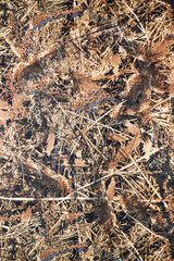 fabric surface texture